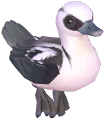 Smew