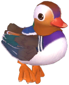 Mandarin Duck