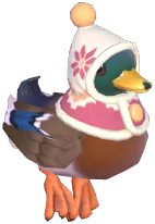 Winter Mallard
