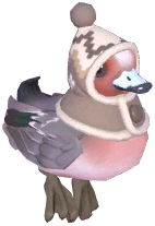 Winter Eurasian Wigeon