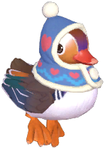 Winter Mandarin Duck