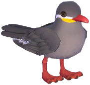 Inca Tern