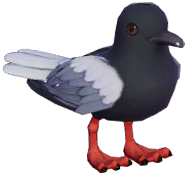 White-Winged Tern
