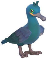 European Shag
