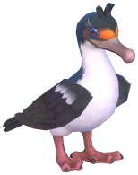 Imperial Shag