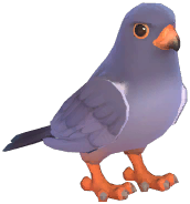 Amur Falcon