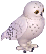 Snowy Owl