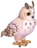 Eagle-Owl