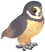 Spectacled Owl
