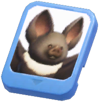 Info Card (Long‑Toothed Fruit Bat)