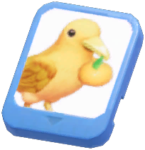 Info Card (Mandarin Raven)