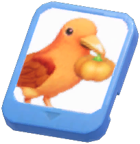 Info Card (Pumpkin Raven)