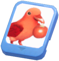 Info Card (Apple Raven)