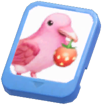 Info Card (Strawberry Raven)