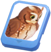 Info Card (Eastern Screech Owl)