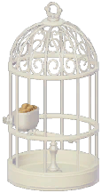 Classic Iron Birdcage