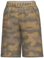 Camo Shorts