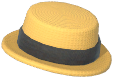Beach Boater