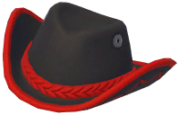 Color-Blocked Cowboy Hat