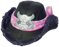 Ranger Badge Cowboy Hat