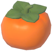 Persimmon Headwear