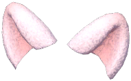 Cat Ear Hair Clip