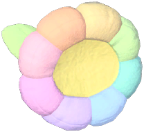 Rainbow Flower Head