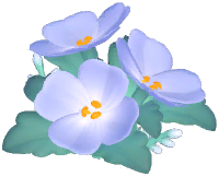 Evening Primrose Chair