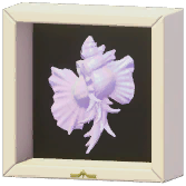 Certified Mark (Orchid Murex)