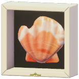 Certified Mark (Plicate Scallop)