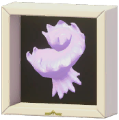 Certified Mark (Mawe's Latiaxis)