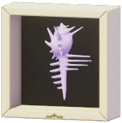 Certified Mark (Venus Comb Murex)
