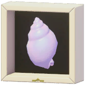 Certified Mark (Smooth Bonnet Shell)