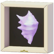 Certified Mark (Mini Spider Conch)