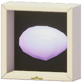 Certified Mark (Tellina Prora)