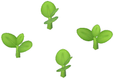 Pumpkin Plant