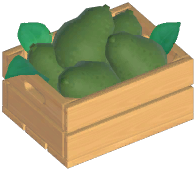 Avocado