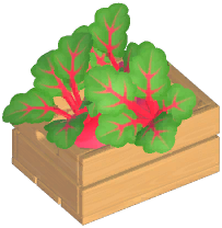 Beet