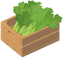 Parsley