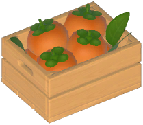 Persimmon