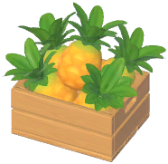 Pineapple