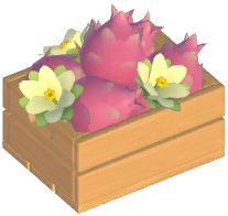 White Dragonfruit