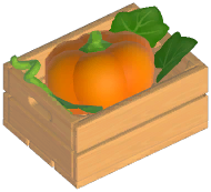 Pumpkin
