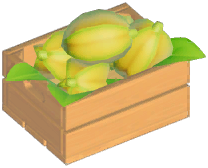 Starfruit