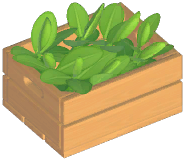 Tea Leaf