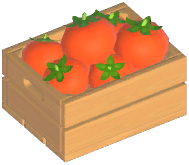 Tomato