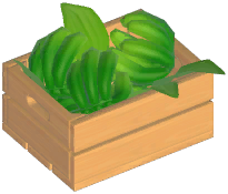 Vanilla