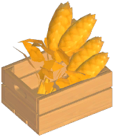 Wheat