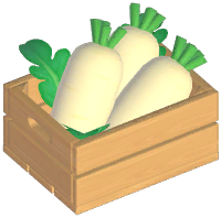 White Radish