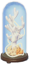 Coral Sea Shell Display Dome